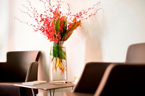 Adelaide Paringa - Accommodation in Brisbane 2