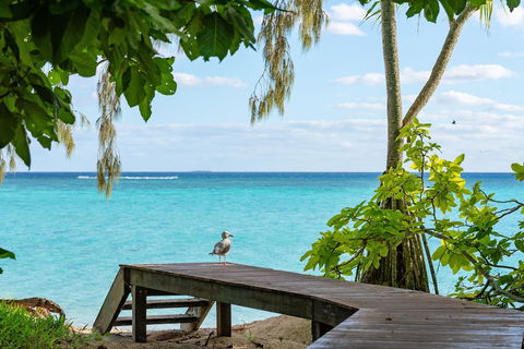 Heron Island Resort - Accommodation in Brisbane 3