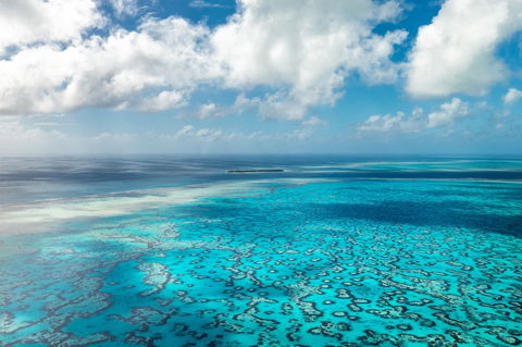 Heron Island Resort - Accommodation in Brisbane 2