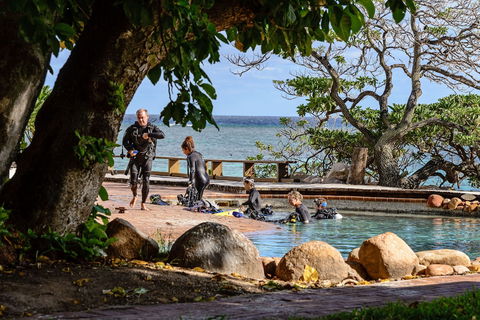 Heron Island Resort - Accommodation in Brisbane 4