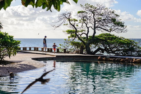 Heron Island Resort - Accommodation in Brisbane 5
