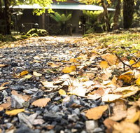Cradle Forest Inn - Accommodation in Brisbane