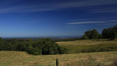 Otway Junction Motor Inn - Accommodation in Brisbane 3