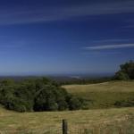 Otway Junction Motor Inn - Accommodation in Brisbane 0