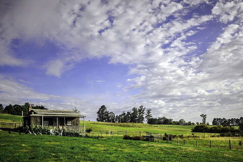 Wines For Joanie Cottage - Accommodation in Brisbane 2