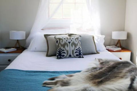 Wines For Joanie Cottage - Accommodation in Brisbane 0