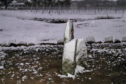 Taits Place Vineyard B & B - Accommodation in Brisbane 1