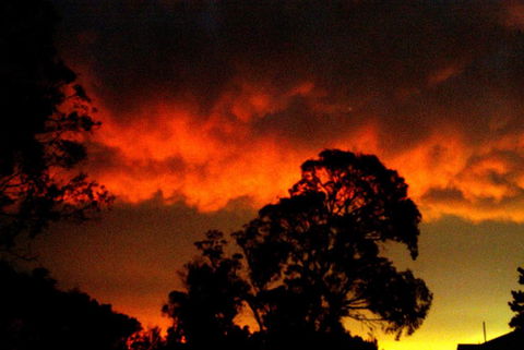 Taits Place Vineyard B & B - Accommodation in Brisbane 2