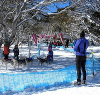 Cloud 9 Alpine Lodge - Accommodation in Brisbane