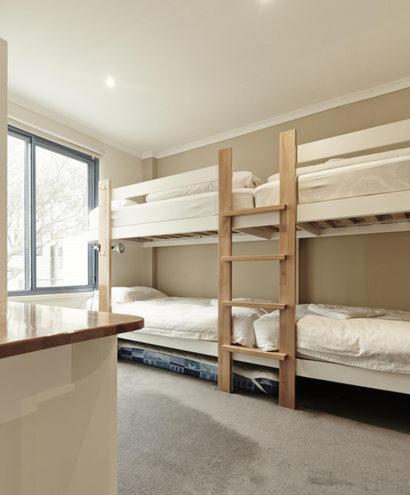 Valley View 203 - Accommodation in Brisbane 4