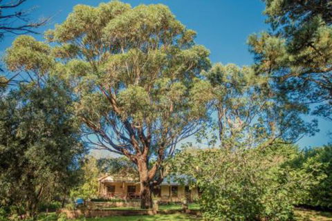 Secluded Homestead Amongst The Trees - Accommodation in Brisbane 3