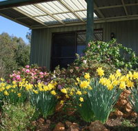 Nannup Riverview Cottage - Accommodation in Brisbane