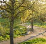 A Suite Spot in the Hills - Accommodation in Brisbane