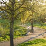 A Suite Spot In The Hills - Accommodation in Brisbane 0