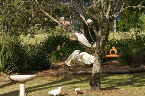 Vicarage View Cottage - Accommodation in Brisbane 5
