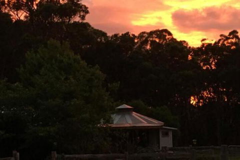 Ionaforest Yurt & Shepherds Hut - Accommodation in Brisbane 4