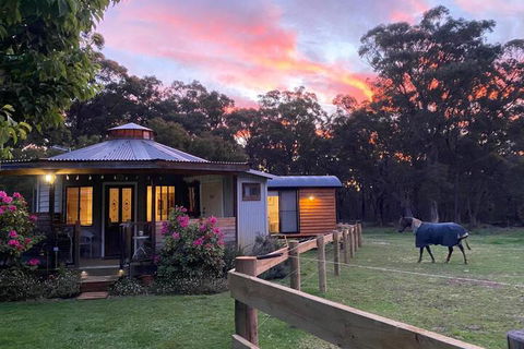 Ionaforest Yurt & Shepherds Hut - Accommodation in Brisbane 3