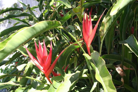 Scarborough Beach Break Holidays - Accommodation in Brisbane 2