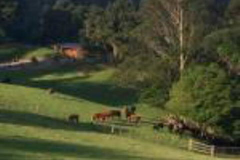 Amaroo Valley Springs - Accommodation in Brisbane 0