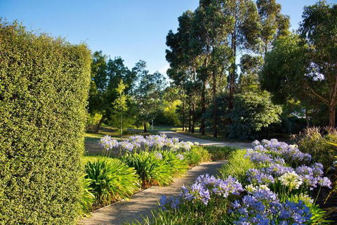Alvie - Accommodation in Brisbane 4