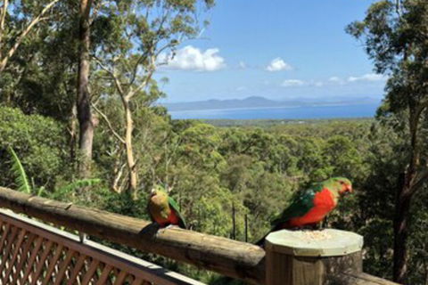 Grand Bali Retreat At Arakoon - Accommodation in Brisbane 0