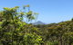 Ullora Road 38 Nelson Bay NSW - thumb 1