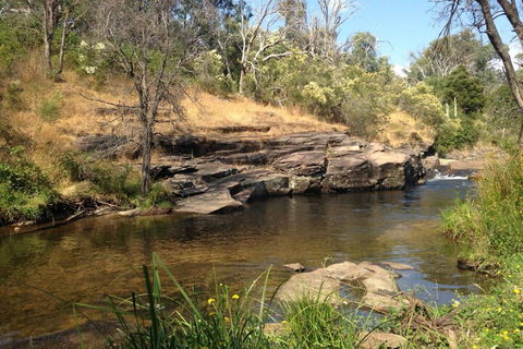 Eagles Nest - Accommodation in Brisbane 3