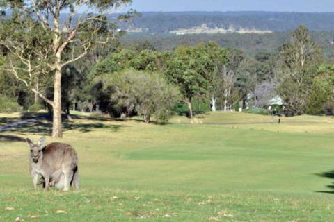 Villa Beaujolais Located Within Cypress Lakes - Accommodation in Brisbane 5