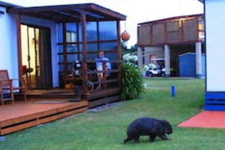 Kelso TAS Accommodation in Brisbane