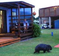 BIG4 Kelso Sands Holiday Park - Accommodation in Brisbane