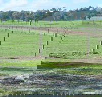 Yea Woodduck Cottage - Accommodation in Brisbane