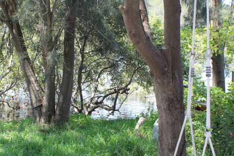 Waters Edge - Accommodation in Brisbane 5