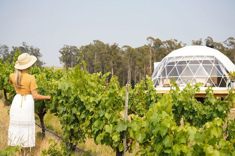 Domescapes In The Vines - Accommodation in Brisbane 5