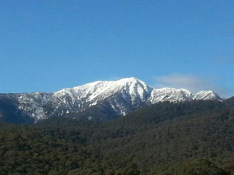 Alps Lodge - Accommodation in Brisbane 4
