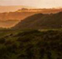 Mures Cloudy Bay Retreat - Accommodation in Brisbane