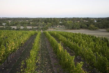 Barristers Block Vigneron Villa - Accommodation in Brisbane 3