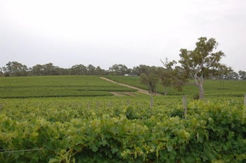 Barristers Block Vigneron Villa - Accommodation in Brisbane 6