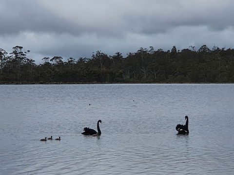 Lake Yalleena Nature Retreat - Accommodation in Brisbane 0