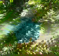 Palm Cove Tropic Apartments - Accommodation in Brisbane