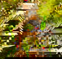 Crystal Brook Tourist Park - Accommodation in Brisbane