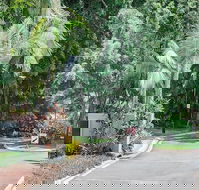 Oasis at Palm Cove - Accommodation in Brisbane