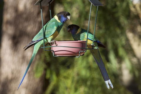 Kathys Place Bed And Breakfast - Accommodation in Brisbane 2