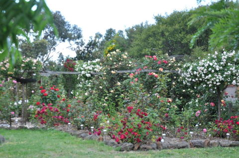 Fairy Wren Cottage Country To Coast Retreat - Accommodation in Brisbane 6