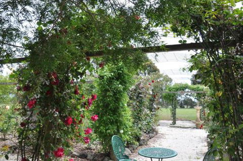 Fairy Wren Cottage Country To Coast Retreat - Accommodation in Brisbane 1