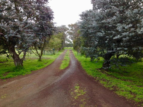 Fairy Wren Cottage Country To Coast Retreat - Accommodation in Brisbane 4