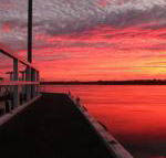Fairy Wren Cottage Country to Coast Retreat - Accommodation in Brisbane