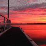Fairy Wren Cottage Country To Coast Retreat - Accommodation in Brisbane 0