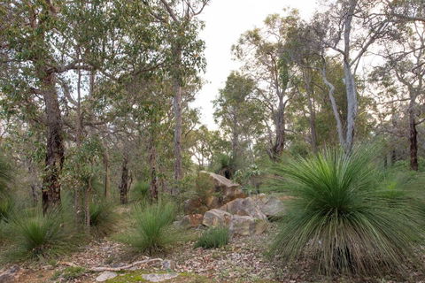 A Hidden Bush Delight - Accommodation in Brisbane 6