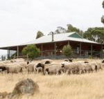 Gilgraves Vineyard Farmstay - Accommodation in Brisbane