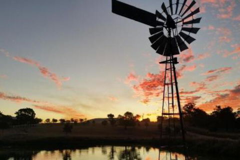 Milford Country Cottages - Accommodation in Brisbane 3